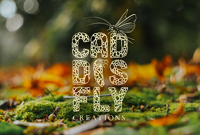 Caddisfly Creations bugs caddisfly design identity identity branding illustration insect logo