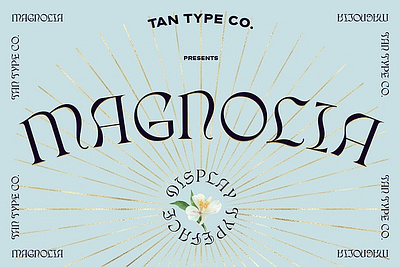 TAN - MAGNOLIA black letter contemporary font display font display type elegant font fashion font gothic style logo font quirky font quirky letters retro font retro type