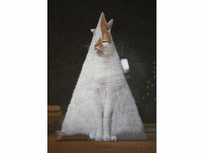 Charlie 27 cat cat portrait cats collage portrait triangle triangles triangular