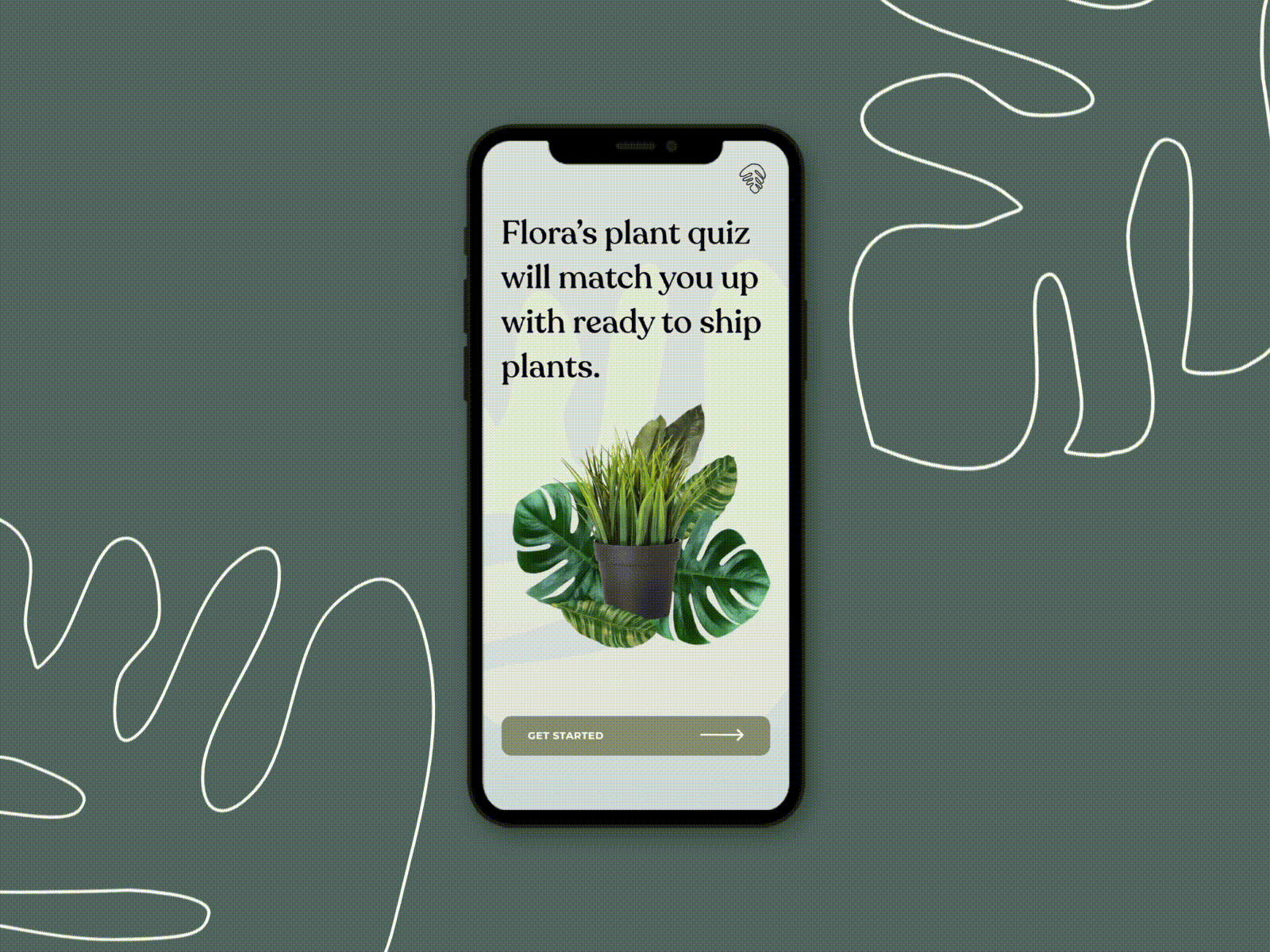 Flora - XD Sign-up Flow adobe design illustration login logo mobile monstera plant illustration plants quiz signin typography ux vector