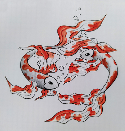 Koi fish sketch fish handdrawn koi fish sketch sketching underwater