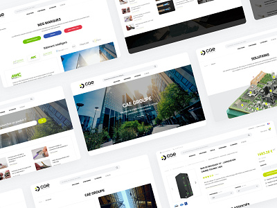 CAE Groupe Website agence b2b cable cae design dnd ecommerce groupe home magento sketch ui website