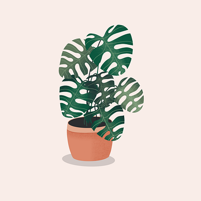 Monstera plant concept illustration monstera plant procreate procreateapp sketch visual design