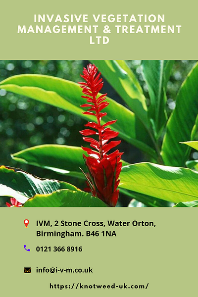 Invasive Vegetation Management & Treatment Ltd