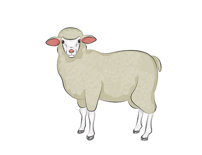 Toy sheep animal animal art art cute domestic animals illustration sheep toy