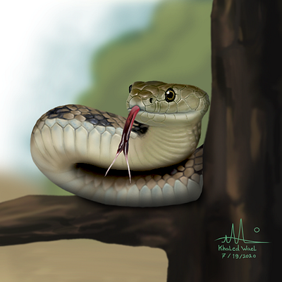 snake adobe photoshop art direction design digital art digital painting graphic design illustration realism realistic snake