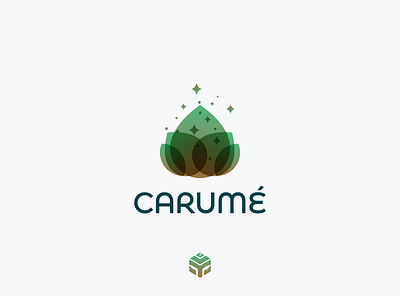 Carum Logo apothecary cancer care center centre charity chiropractic clinic consultant doctor drug health healthcare hospital life medical medicine nurse nutrition organization