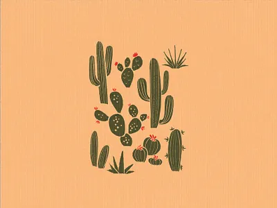 cactus cactus cactus illustration desert nature plant plants prickly pear west