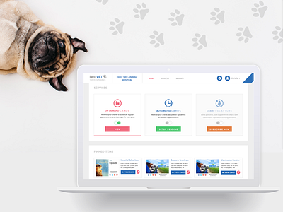 BestVET accionlabs design ui user experience userinterface ux website