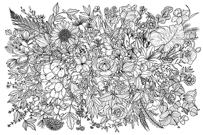 Floral vector wallpaper adobe illustrator art blackandwhite dasy detailed floral flower flower illustratoin flowers illustration lilly magnolia natural nature rose wacom intuos