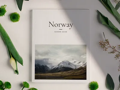 Free Magazine Mockup print