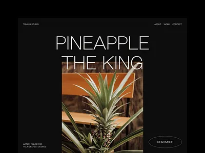 TRNAVA STUDIO 🍍 app brand branding design logo portfolio project studio typo typogaphy typography vector web