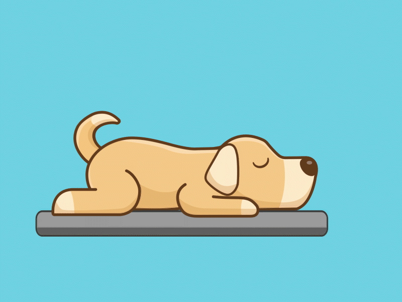 sleeping dog 2d 2danimation animation cute design dog dog animation dog illustration learn loop sleep animation sleeping dog
