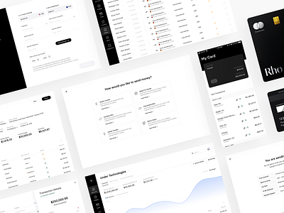 Rho Re-Design branding design product design ui ux