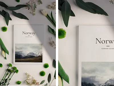 Free magazine mockup print