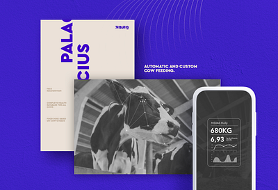 Palacius - Branding for an Iot Project