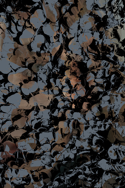 Can You See black gray vector vector art