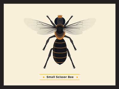 Small Scissor Bee bee bees environment flowers globalwarming icon illustration infographic pollination