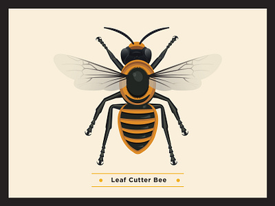 Leaf Cutter Bee bee beehotel bees diversity environment guest infographic pollination scientific scientific illustration