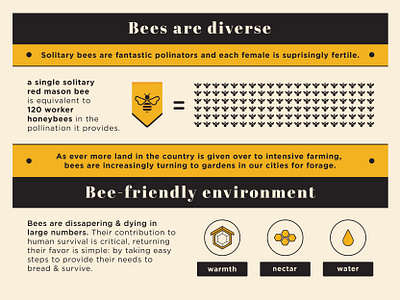 Diversity bee bees environment flowers flowershop garden globalwarming hotel illustration infographic infographic design infographics nectar warmth water