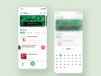 Plant Story app design illustration ui