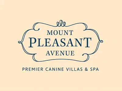 Mount Pleasant Avenue Rebrand brand design branding design identity identity design logo logo design typography