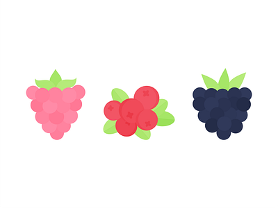 Day 212 - 366 Days of Illustration Challenge - MintSwift berries berry blackberries blackberry cranberries cranberry digital illustration flat design flat illustration flatdesign fruit fruits icon illustration illustrator mintswift raspberries raspberry vector art vector illustration