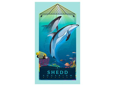 shedd aquarium anthony leon studio anthonyleonstudio aquarium design dolphins fish illustration illustrator art ocean posterdesign