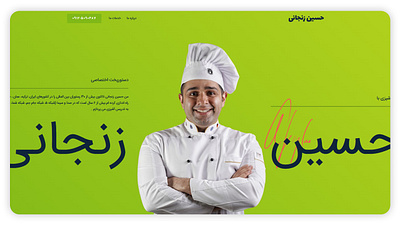 Hossein Zanjani - Web Design branding graphic design logo seo web design