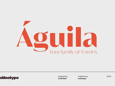 Águila branding character curve design editorial design elegant fonts font design fonts collection lettering logo modern fonts professional sans serif sans serif font serif serif font serif fonts shape typography typography art