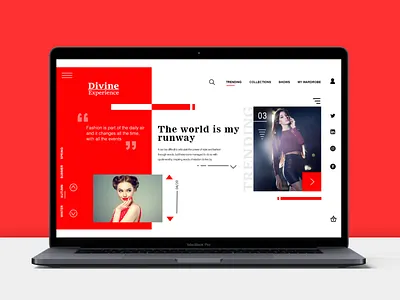 Fashion Blogger Website design ui ux web