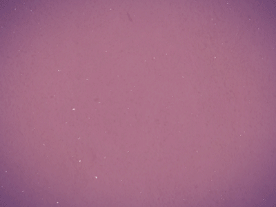 Just shape animation🐰 after animation design effects flat design gif graphic illustration vector