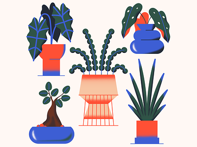Houseplant obsession 🌱 bonsai cactus cute decoration editorial geometric gradient graphic green houseplant illustration line drawing minimal monstera plant retro simple texture vase vector