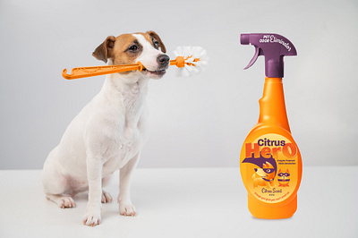 Pet Spray Label Design - Citrus Hero citrus dog and cat dog illustration dog vector illustration hero illustration pet brand pet icon pet product spray bottle label design