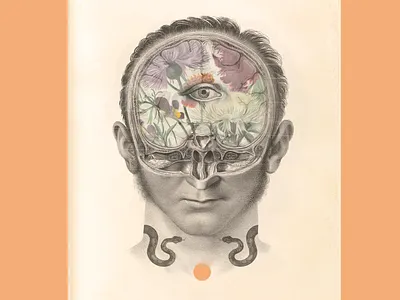 Desaprender collage illustration