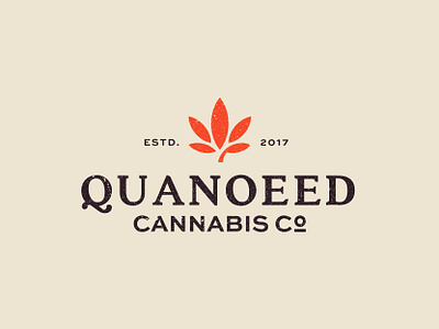 Quanoeed Cannabis branding cannabis cannabis branding cannabis logo design designer identity logo mark symbol