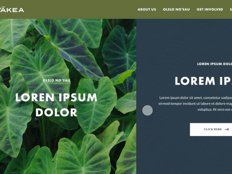 Ho‘ākea adobe xd hawaii hawaiian hover interaction website website design