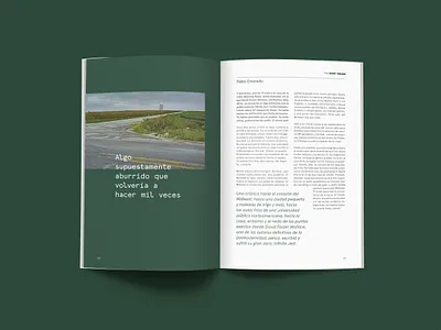 Aguinaldo #02 - Shout #01 2019 aguinaldo argentina design editorial green layout pages spread