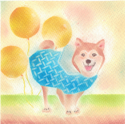 Shiba and balloon