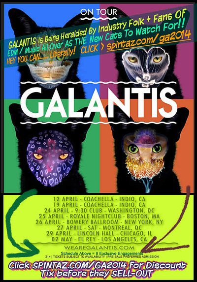 Flyer for Galantis Tour @ Coachella banners branding design flyer artwork flyer design flyer template illustration logo marketing stellar interactive vector