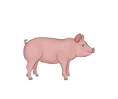 Cute pig animal animal art art cute illustration pig pink