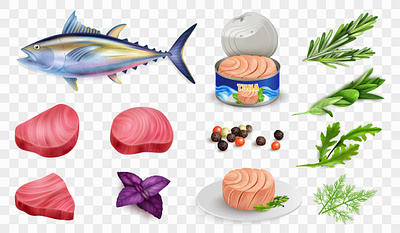 Tuna transparent set fish food illustration ocean realistic vector