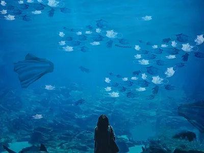 POST PANDEMIC OCEAN artist covid19 design ecology guerrilla illustration ocean ocean life vector