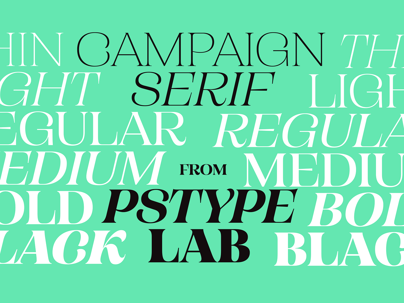 Campaign Serif is Out Now by Mark Caneso on Dribbble