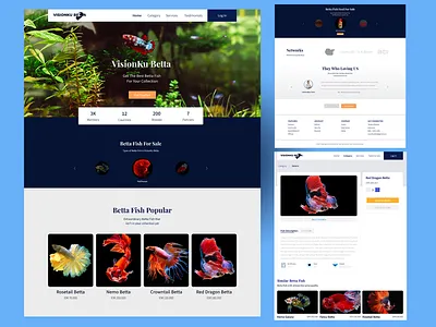 VisionKu Betta uiuxdesign webdesign