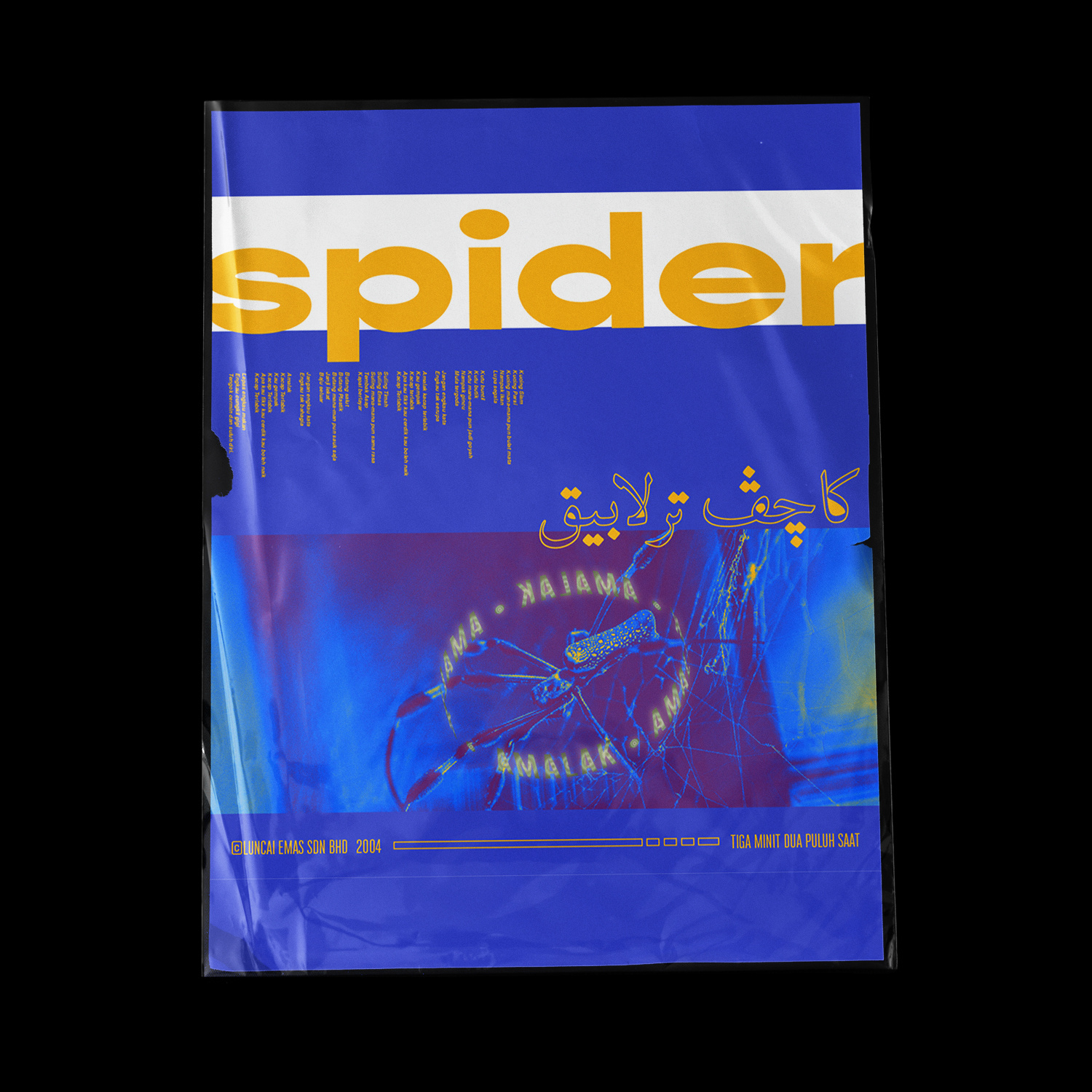 Example of Poster & Layout Design