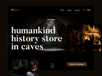 iN Cave branding cave design flat typography ui ux web website website design