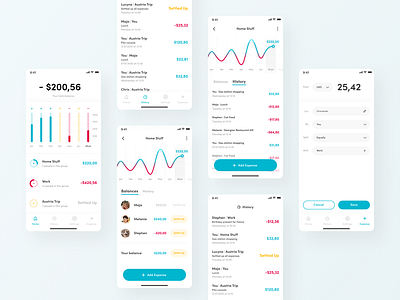 Share your expenses charts dashboard data visualisation design expense expenses finance fintech groups mobile mobile ui mockup money redesign share splitwise ux