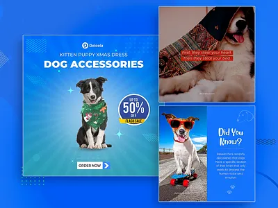 Delcela - Social Media Marketing Template 3d animation branding graphic design logo motion graphics ui