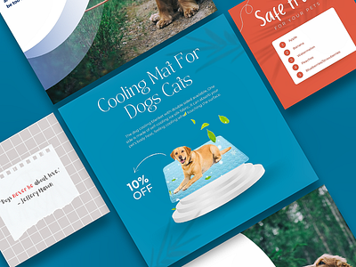 Reli's Pet Shop - Social Media Marketing Template 3d agency animation branding colorful design design inspiration graphic design illustration logo motion graphics ui ux vector